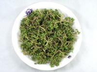 刺蔥..原住民天然香料.新鮮冷凍.600g..香麻.火鍋...養生火鍋香料