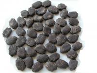 木鱉果 原生種子 原住民美食.每個 3元