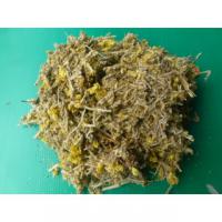 鼠麴草粉.100g刺殼草粉、草仔粿粉 .草仔粿的原料 放心絕無農藥 .香料粉