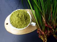 茴香菖蒲粉.無農藥.燉炒悶滷.香料.創意料理.真的好香..植物色素粉.香料粉.滷肉.豆乾.優惠價